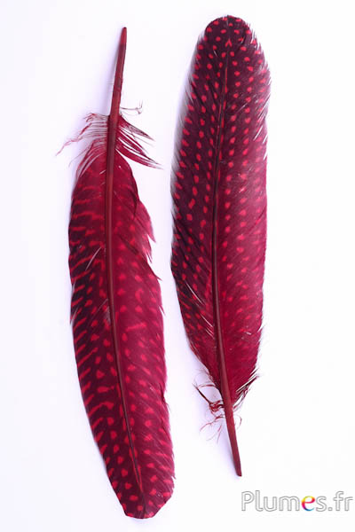 Pintade - 16-20 cm - carmin